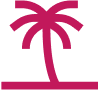 Boca Raton icon palm tree